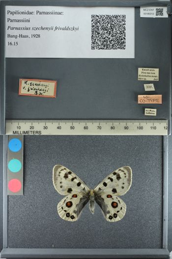 Media type: image;   Entomology 180312